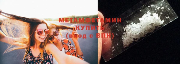шишки Абаза
