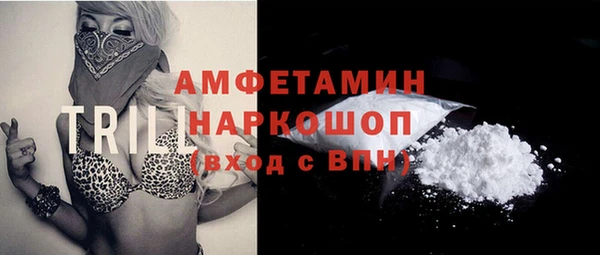 шишки Абаза