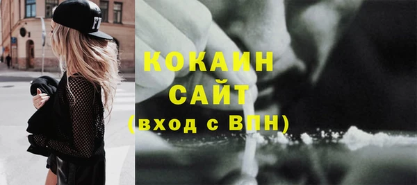 шишки Абаза