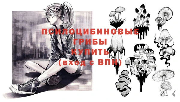 прущие крисы Алексин