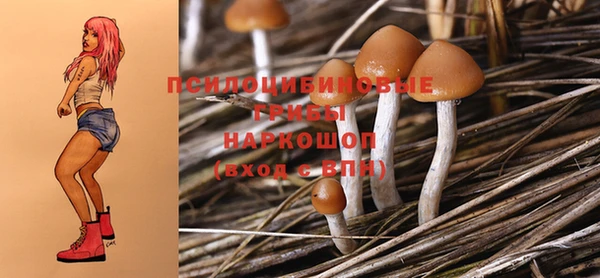гашик Абдулино