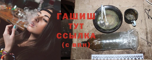 PSILOCYBIN Алзамай
