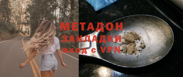 шишки Абаза