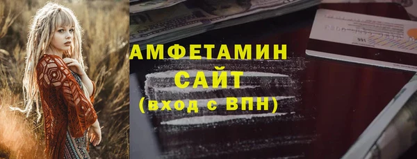 шишки Абаза