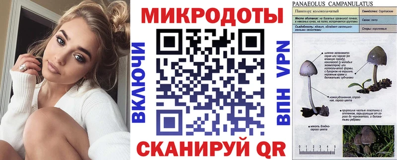 Галлюциногенные грибы Psilocybine cubensis  Анапа 